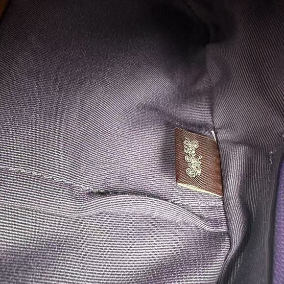 Coach Jamie Crossbody Camera Bag In Leather/Silver/Iris CR110 NWT - Picture 10 of 12